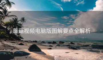 蘑菇视频电脑版图解要点全解析