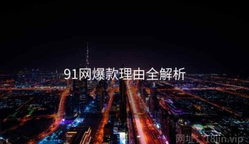 91网爆款理由全解析