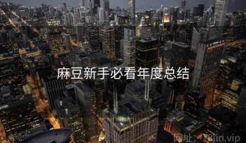 麻豆新手必看年度总结