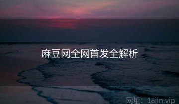 麻豆网全网首发全解析
