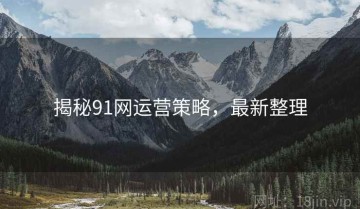 揭秘91网运营策略，最新整理