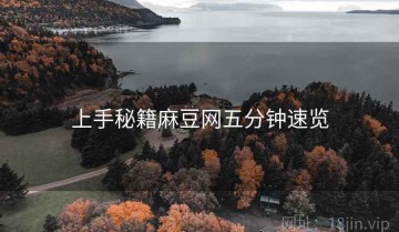 上手秘籍麻豆网五分钟速览