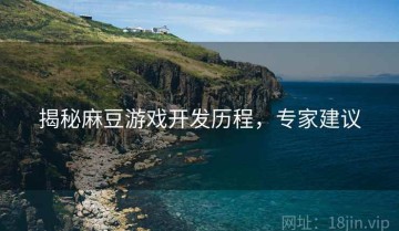揭秘麻豆游戏开发历程，专家建议