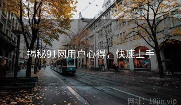 揭秘91网用户心得，快速上手