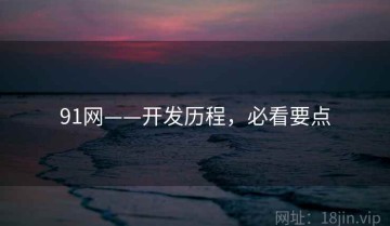 91网——开发历程，必看要点