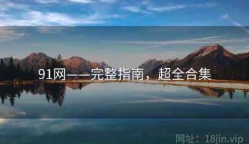 91网——完整指南，超全合集