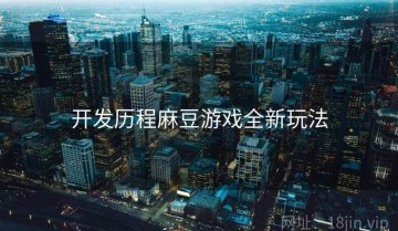 开发历程麻豆游戏全新玩法