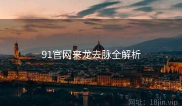 91官网来龙去脉全解析