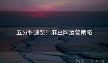 五分钟速览！麻豆网运营策略