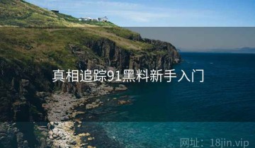 真相追踪91黑料新手入门