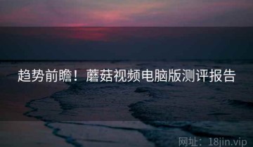 趋势前瞻！蘑菇视频电脑版测评报告