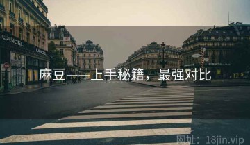 麻豆——上手秘籍，最强对比