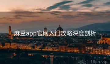 麻豆app官网入门攻略深度剖析