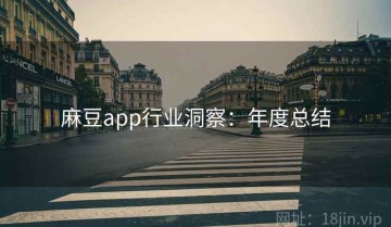 麻豆app行业洞察：年度总结