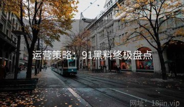 运营策略：91黑料终极盘点