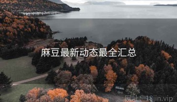 麻豆最新动态最全汇总
