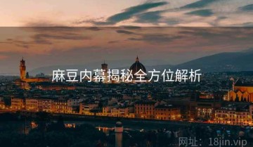 麻豆内幕揭秘全方位解析