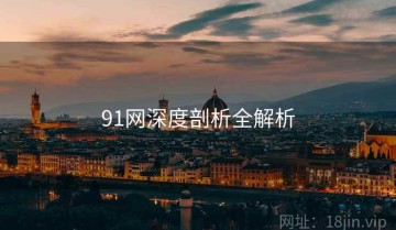 91网深度剖析全解析