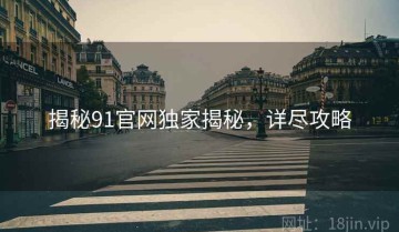 揭秘91官网独家揭秘，详尽攻略