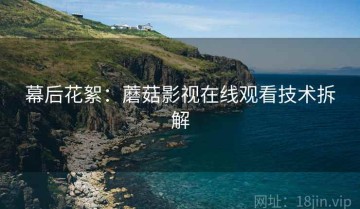 幕后花絮：蘑菇影视在线观看技术拆解