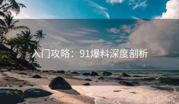 入门攻略：91爆料深度剖析
