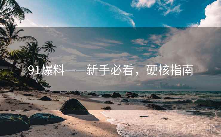91爆料——新手必看，硬核指南
