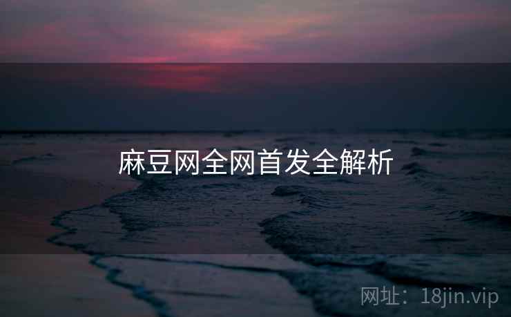 麻豆网全网首发全解析