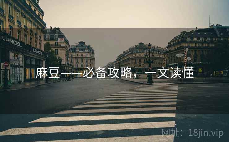 麻豆——必备攻略，一文读懂