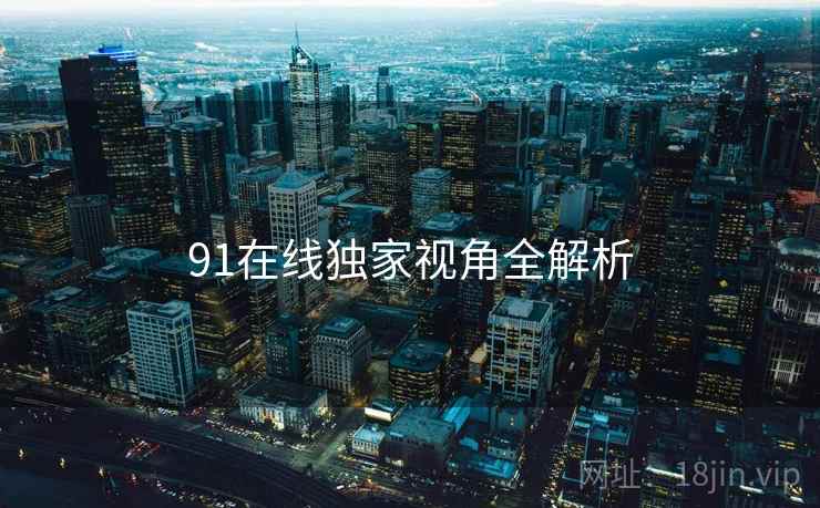 91在线独家视角全解析
