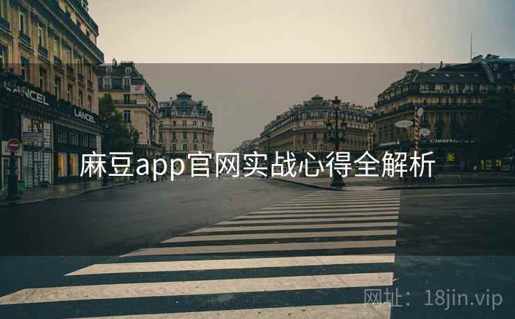 麻豆app官网实战心得全解析