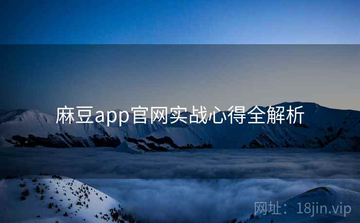 麻豆app官网实战心得全解析