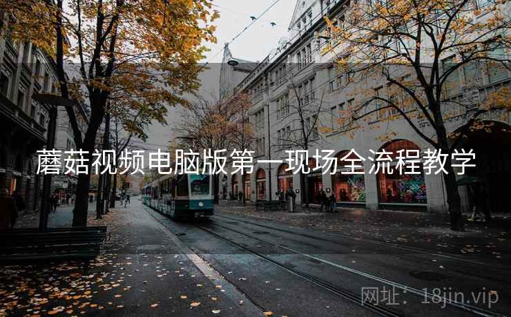 蘑菇视频电脑版第一现场全流程教学