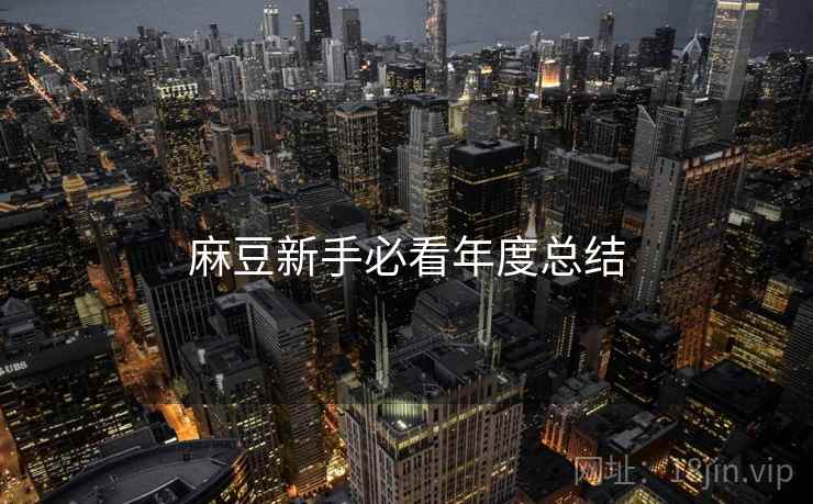 麻豆新手必看年度总结