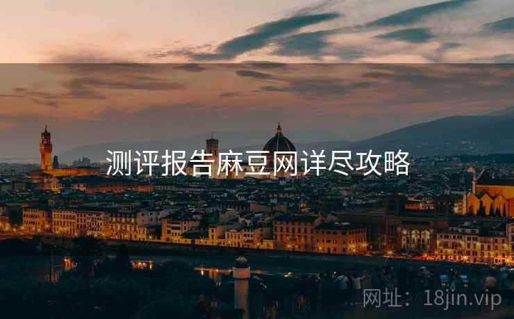 测评报告麻豆网详尽攻略