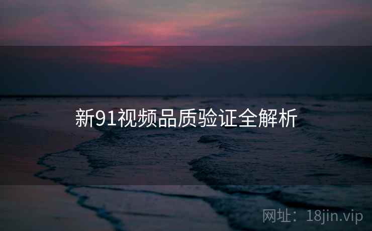 新91视频品质验证全解析