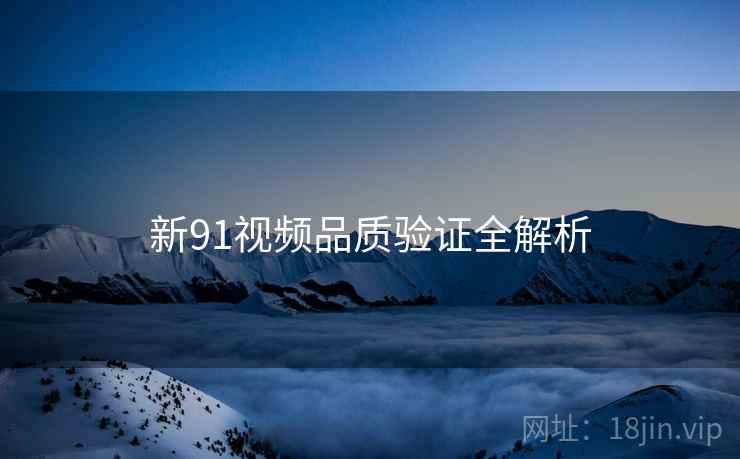 新91视频品质验证全解析