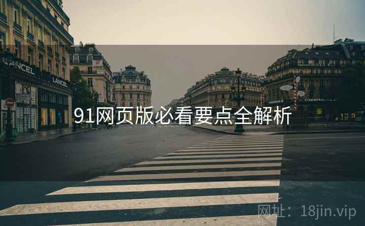 91网页版必看要点全解析