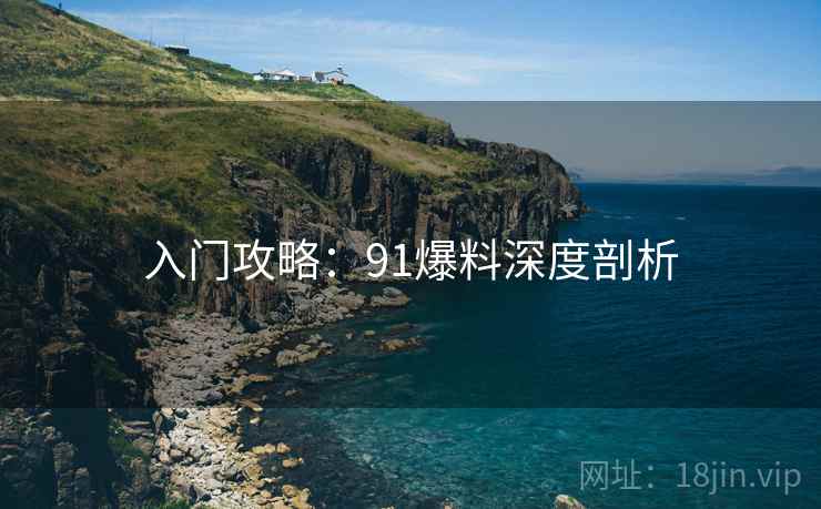 入门攻略：91爆料深度剖析