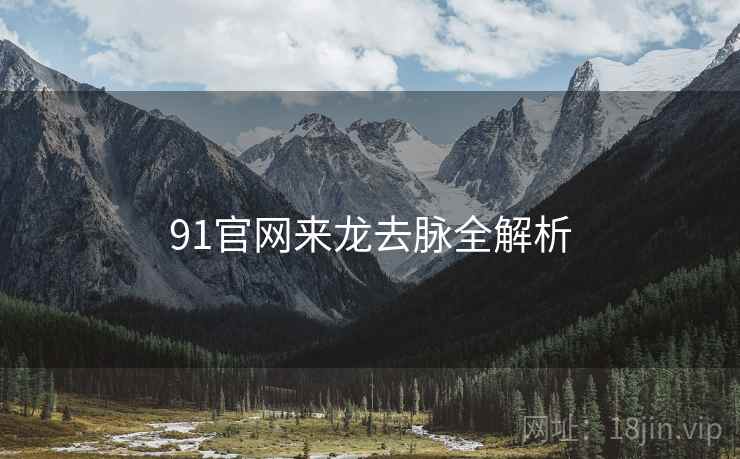 91官网来龙去脉全解析