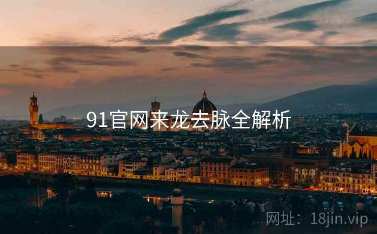 91官网来龙去脉全解析