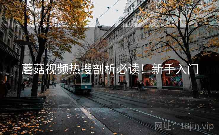 蘑菇视频热搜剖析必读！新手入门