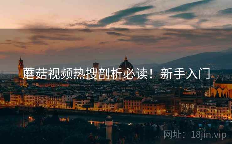 蘑菇视频热搜剖析必读！新手入门
