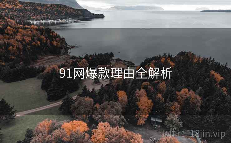 91网爆款理由全解析