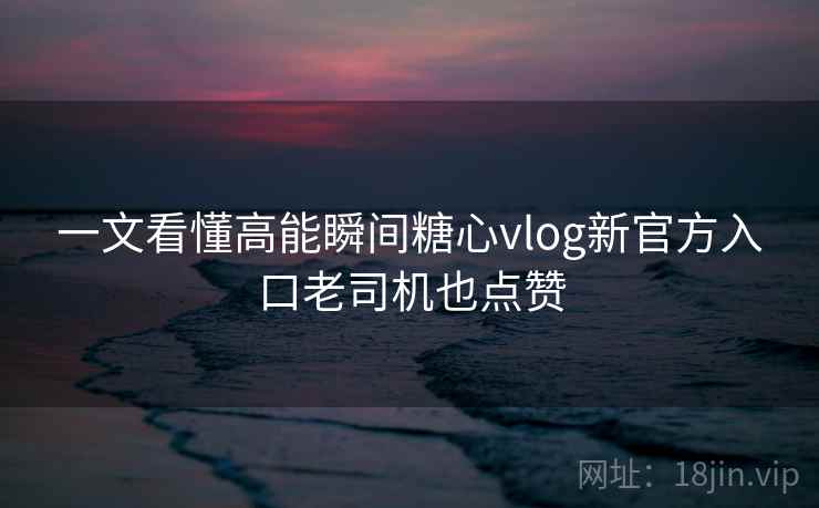 一文看懂高能瞬间糖心vlog新官方入口老司机也点赞
