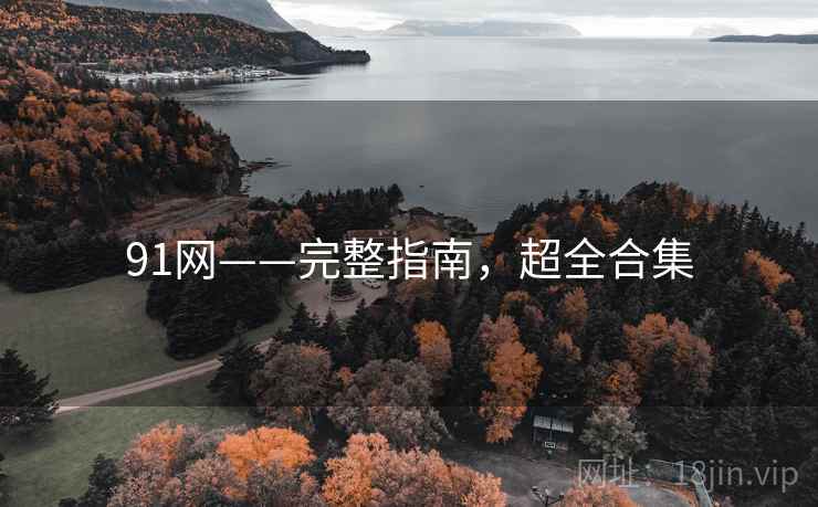 91网——完整指南，超全合集