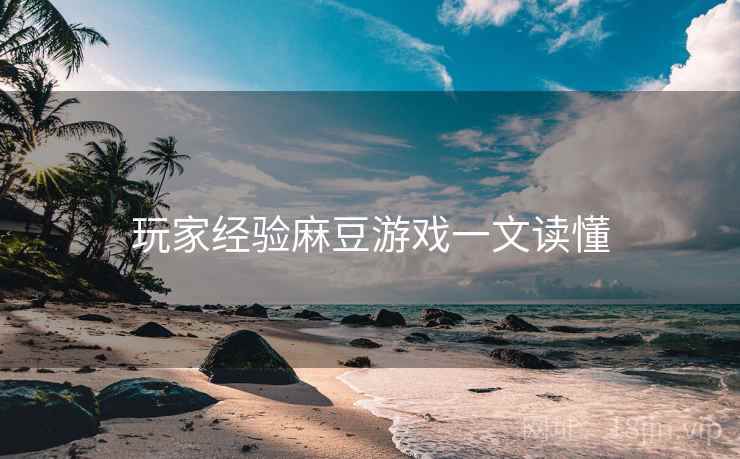 玩家经验麻豆游戏一文读懂