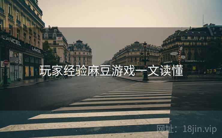 玩家经验麻豆游戏一文读懂