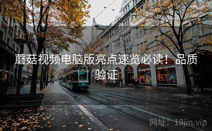 蘑菇视频电脑版亮点速览必读！品质验证