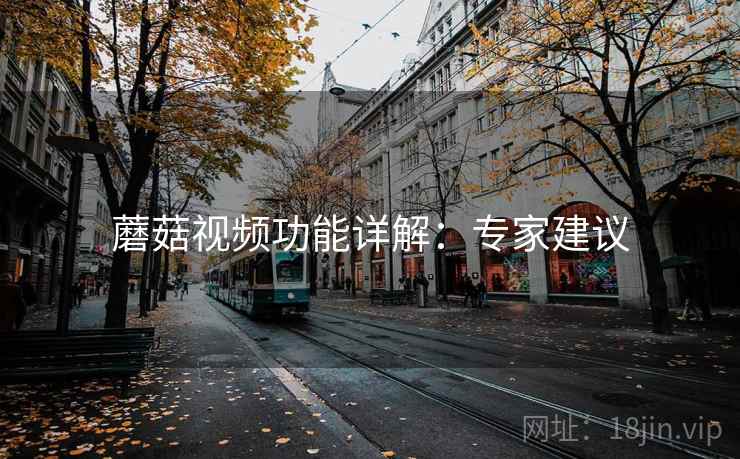 蘑菇视频功能详解：专家建议