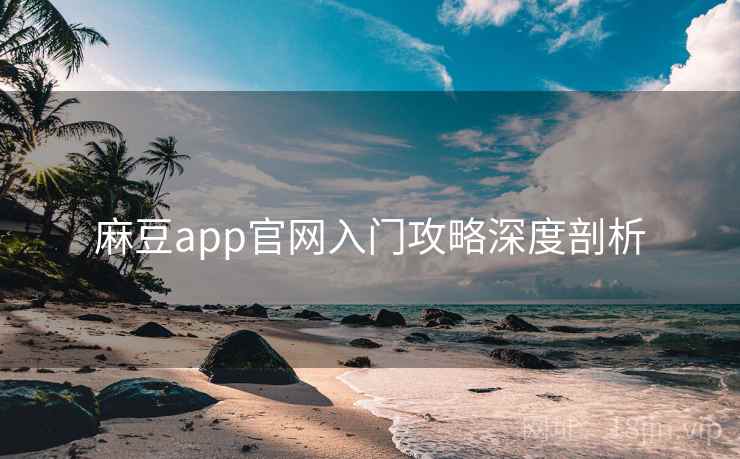 麻豆app官网入门攻略深度剖析
